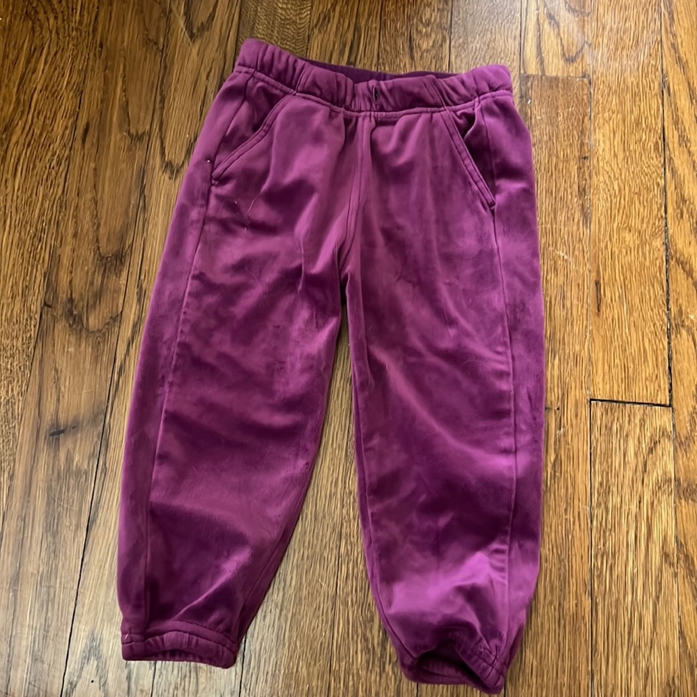 Tea collection velour joggers